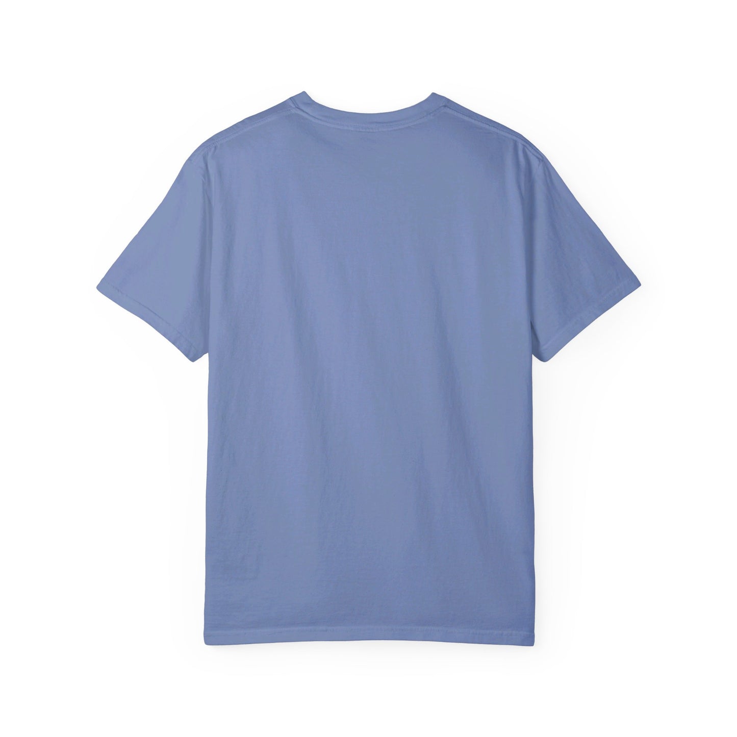 orderedSample (2 colors) Unisex Garment-Dyed T-shirt